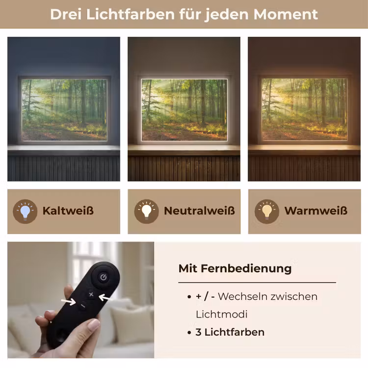 Zon - Bos - Bomen - Natuur - Herfst Light Box met batterij (Wandlamp) middel -USP_lichtkleurDE
