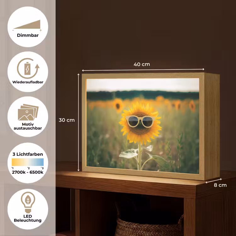 Zonnebloem - Veld - Zonnebril Light Box met batterij (Wandlamp) middel -USP_websiteoverzichtDE
