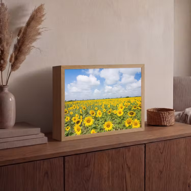 Zonnebloemen - Bloemen - Wolken - Natuur - Geel - Landschap Light Box met batterij (Wandlamp) middel -sfeer2