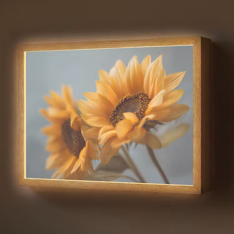 Zonnebloemen - Geel - Wazig Light Box met batterij (Wandlamp) middel -z3d_website