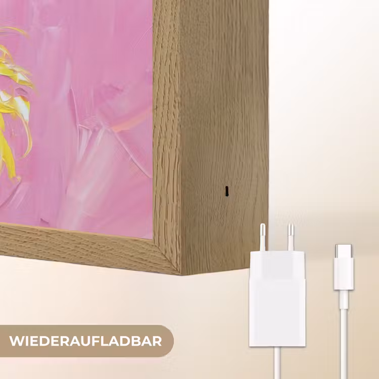 Zonnebril - Vrouw - Jas - Veren Light Box met batterij (Wandlamp) middel -USP_websiteoplaadbaarDE