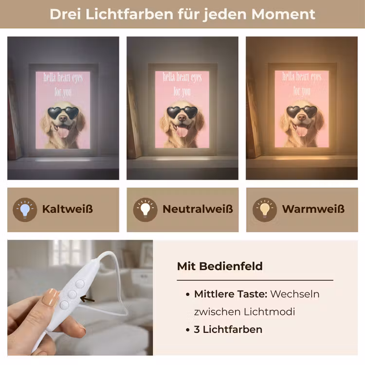 Zonnebril - Hartjes - Hond - Valentijn Light Box met kabel (Wandlamp) klein -USP_lichtkleurDE