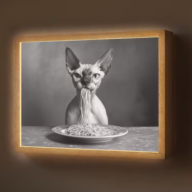 Sphynx - Kat - Dieren - Humor - Spaghetti - Zwart Wit Light Box met batterij (Wandlamp) middel -z3d_website