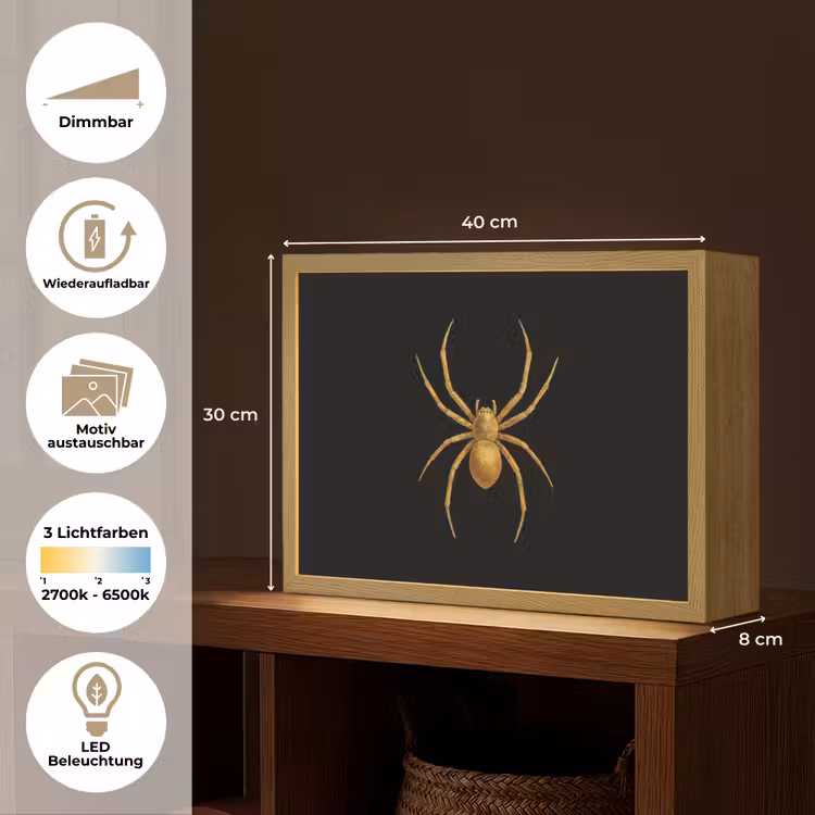 Spin - Goud - Minimalistisch - Poten Light Box met batterij (Wandlamp) middel -USP_websiteoverzichtDE