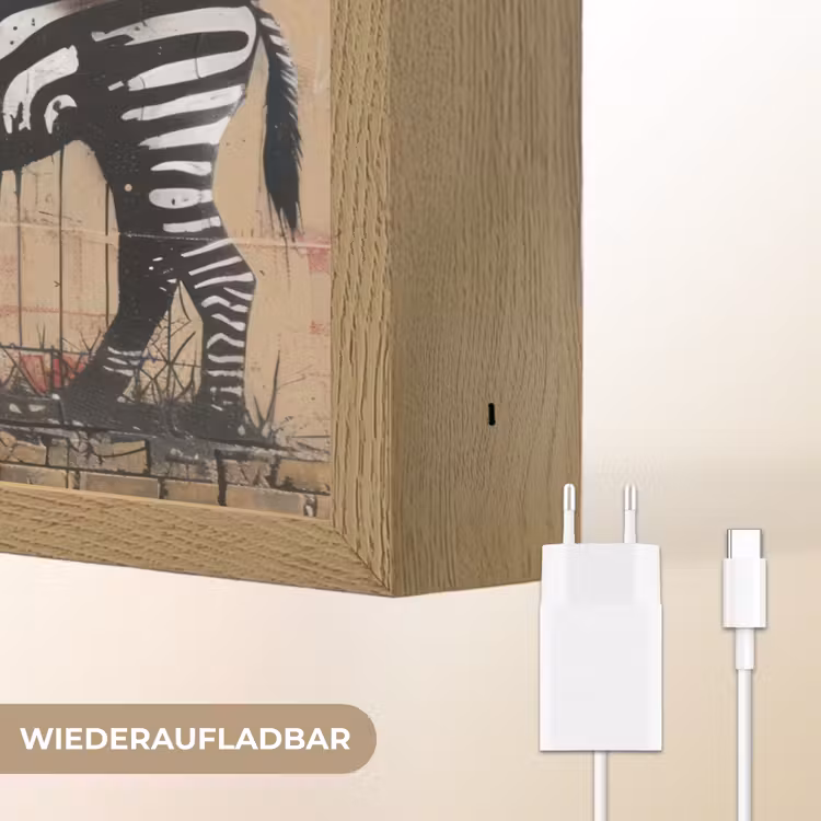Street art - Zebra - Vrouw - Dieren - Graffiti - Banksy Style Light Box met batterij (Wandlamp) middel -USP_websiteoplaadbaarDE