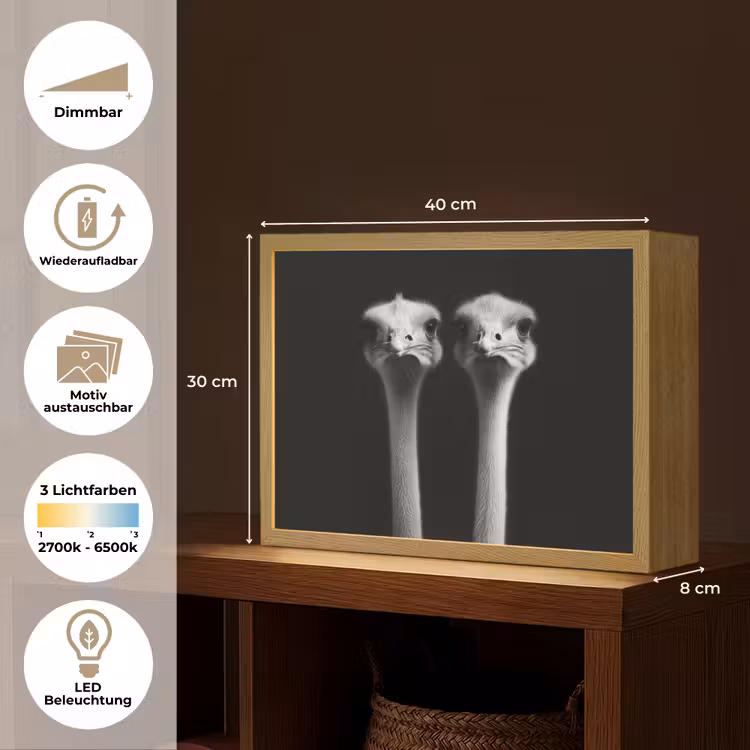 Struisvogels - Halzen - Zwart - Minimalistisch Light Box met batterij (Wandlamp) middel -USP_websiteoverzichtDE