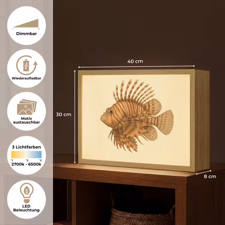Strepen - Vis - Rond - Stekels Light Box met batterij (Wandlamp) middel -USP_websiteoverzichtDE