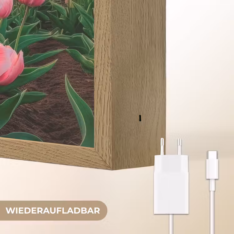 Tulpen - Molen - Nederland Light Box met batterij (Wandlamp) middel -USP_websiteoplaadbaarDE