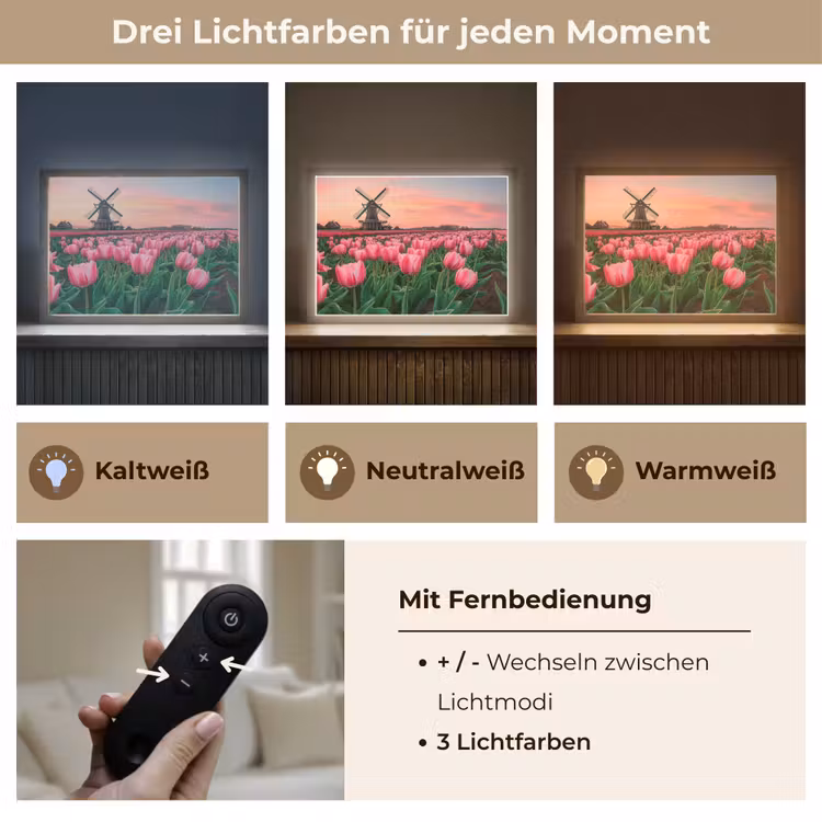 Tulpen - Molen - Nederland Light Box met batterij (Wandlamp) middel -USP_lichtkleurDE