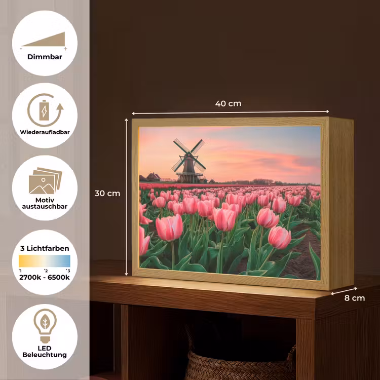 Tulpen - Molen - Nederland Light Box met batterij (Wandlamp) middel -USP_websiteoverzichtDE