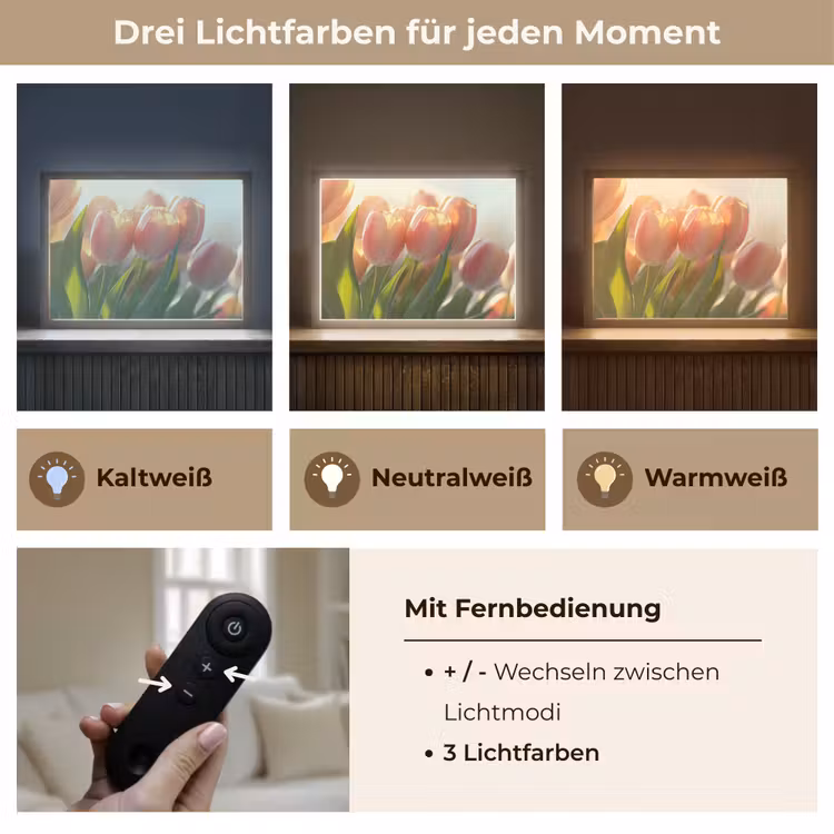 Tulpen - Roze - Zonnestralen Light Box met batterij (Wandlamp) middel -USP_lichtkleurDE