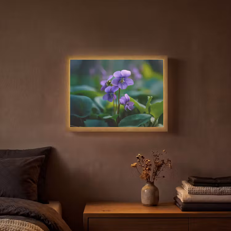 Viooltjes - Paars - Bloem - Bladeren Light Box met batterij (Wandlamp) middel -sfeer4