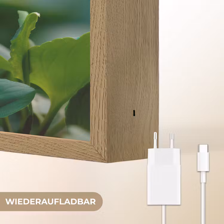 Viooltjes - Paars - Bloem - Bladeren Light Box met batterij (Wandlamp) middel -USP_websiteoplaadbaarDE
