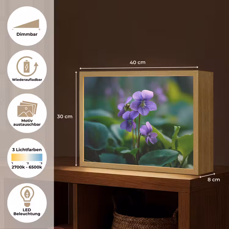 Viooltjes - Paars - Bloem - Bladeren Light Box met batterij (Wandlamp) middel -USP_websiteoverzichtDE