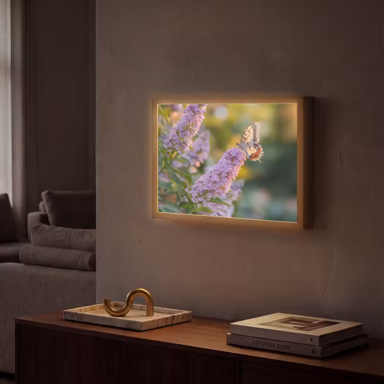 Sierlijke - Vlinder - Paarse - Bloemen Light Box met batterij (Wandlamp) middel -sfeer1