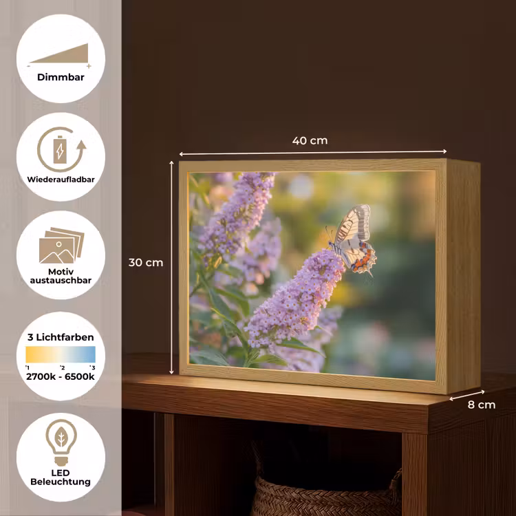 Sierlijke - Vlinder - Paarse - Bloemen Light Box met batterij (Wandlamp) middel -USP_websiteoverzichtDE