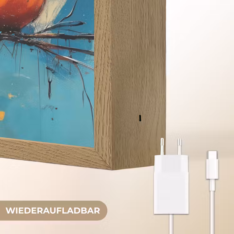 Vogels - Kleurrijk - Tak - Abstract Light Box met batterij (Wandlamp) middel -USP_websiteoplaadbaarDE