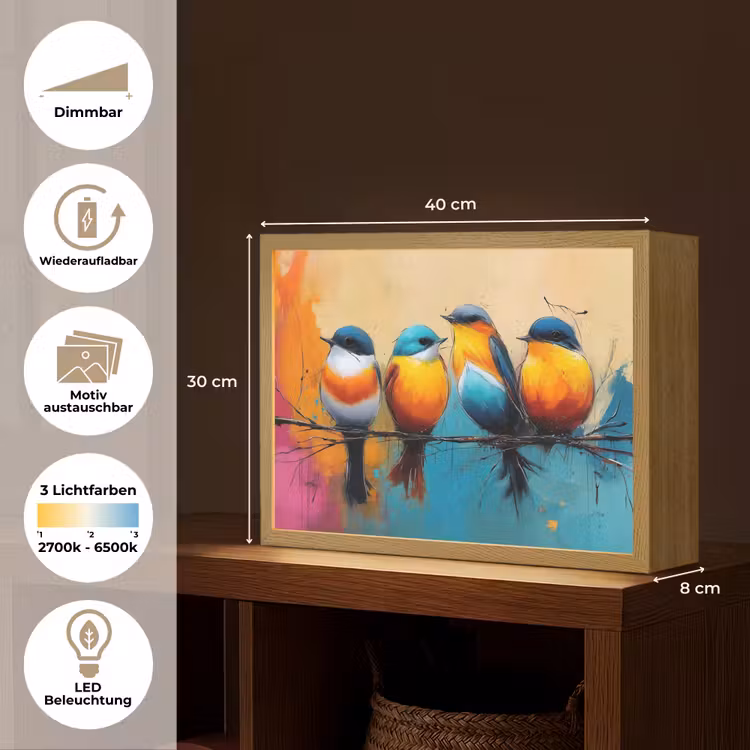 Vogels - Kleurrijk - Tak - Abstract Light Box met batterij (Wandlamp) middel -USP_websiteoverzichtDE