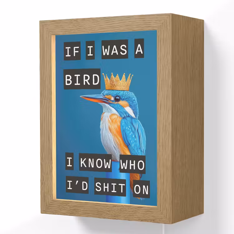 Vogel - Decoratie - Ijsvogel - Blauw Light Box met kabel (Wandlamp) klein -3d
