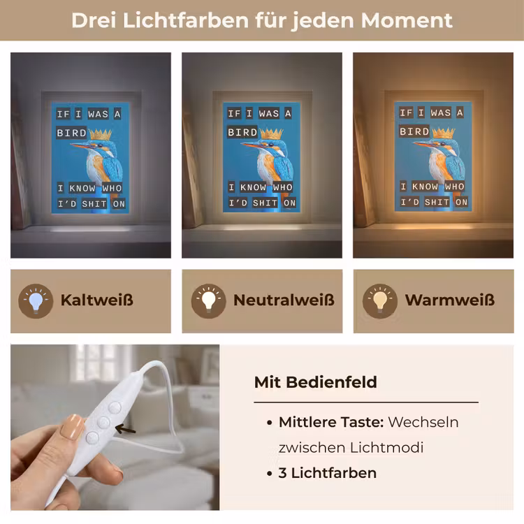 Vogel - Decoratie - Ijsvogel - Blauw Light Box met kabel (Wandlamp) klein -USP_lichtkleurDE