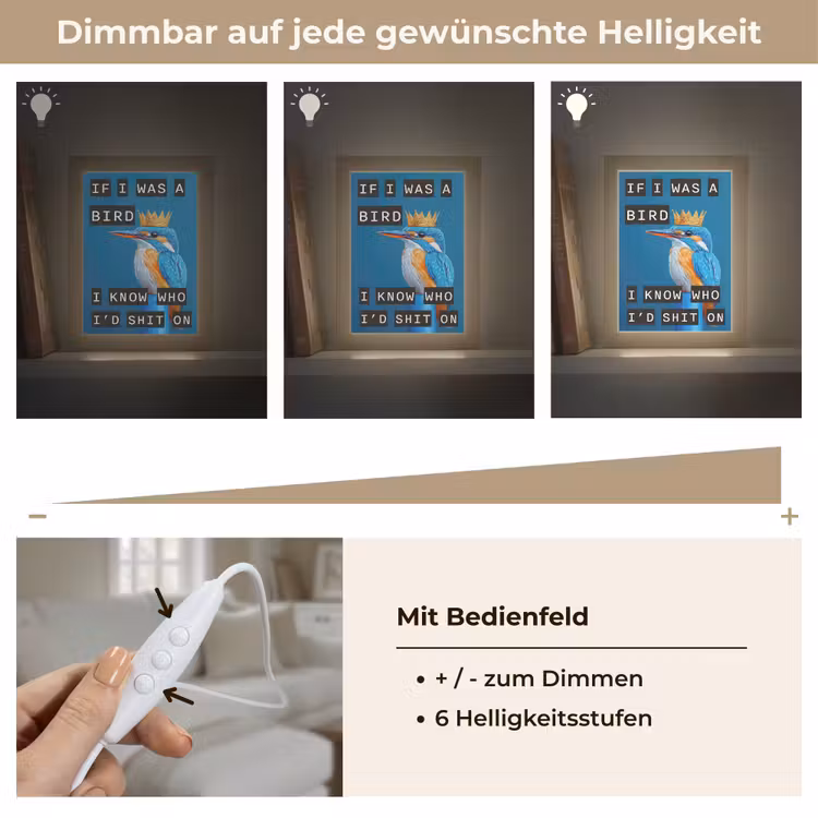 Vogel - Decoratie - Ijsvogel - Blauw Light Box met kabel (Wandlamp) klein -USP_dimbaarDE