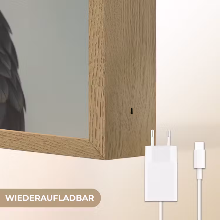 Vogel - Realistisch - Veren - Bruin Light Box met batterij (Wandlamp) middel -USP_websiteoplaadbaarDE