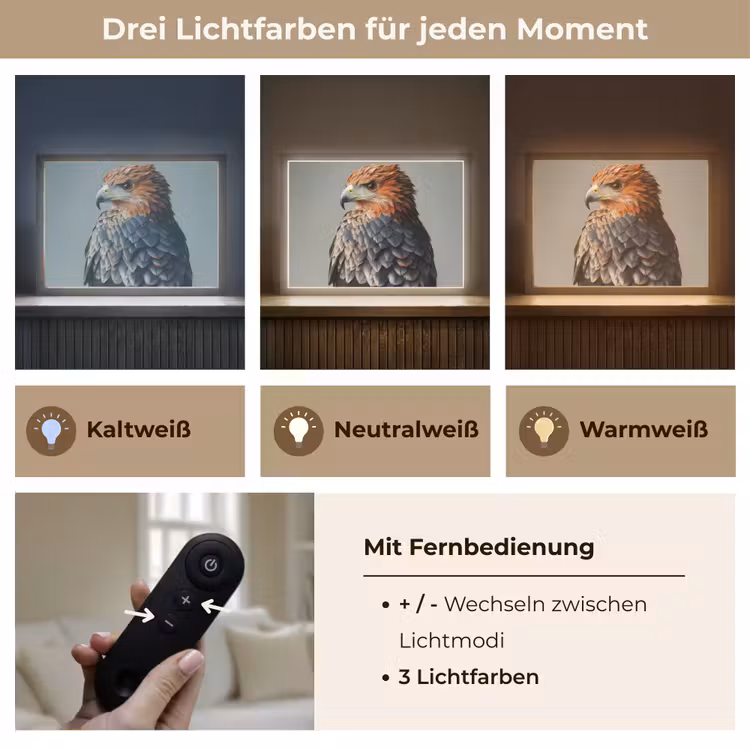 Vogel - Realistisch - Veren - Bruin Light Box met batterij (Wandlamp) middel -USP_lichtkleurDE