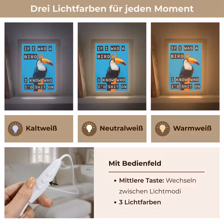 Vogel - Toekan - Blauw - Quotes Light Box met kabel (Wandlamp) klein -USP_lichtkleurDE