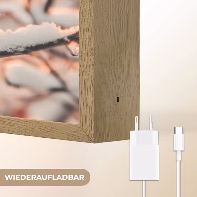 Vogel - Tak - Winter - Dieren - Sneeuw Light Box met batterij (Wandlamp) middel -USP_websiteoplaadbaarDE