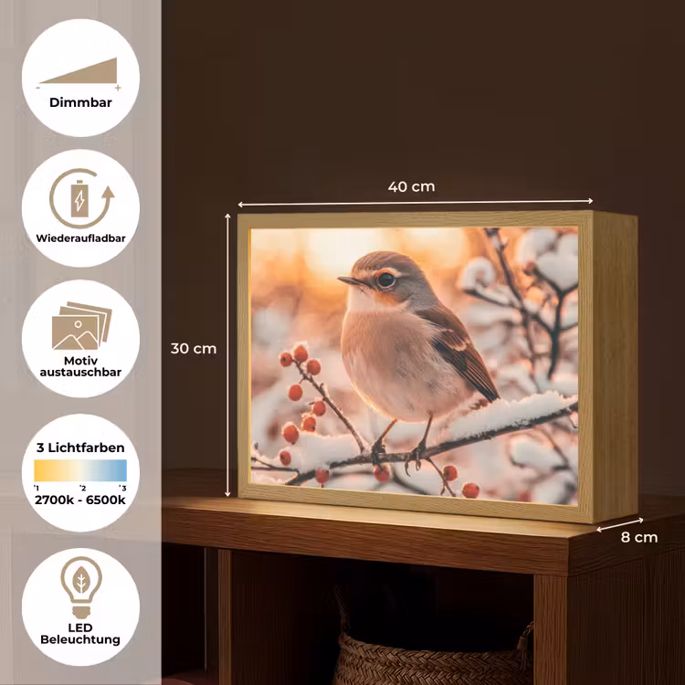 Vogel - Tak - Winter - Dieren - Sneeuw Light Box met batterij (Wandlamp) middel -USP_websiteoverzichtDE