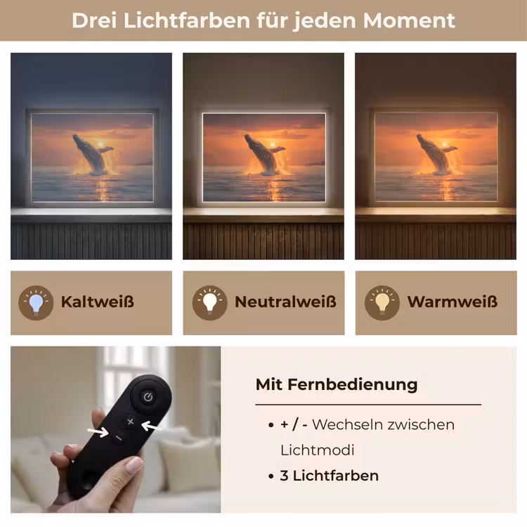 Walvis - Zon - Zee Light Box met batterij (Wandlamp) middel -USP_lichtkleurDE