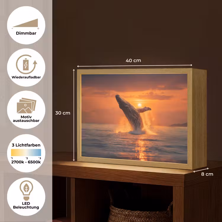 Walvis - Zon - Zee Light Box met batterij (Wandlamp) middel -USP_websiteoverzichtDE