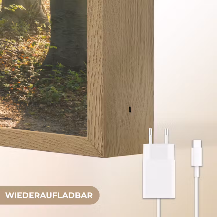 Bos - Bomen - Pad - Zon - Planten - Bladeren - Natuur Light Box met batterij (Wandlamp) middel -USP_websiteoplaadbaarDE