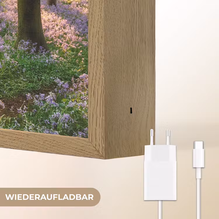 Bos - Bloemen - Lavendel - Zon - Paars - Natuur Light Box met batterij (Wandlamp) middel -USP_websiteoplaadbaarDE
