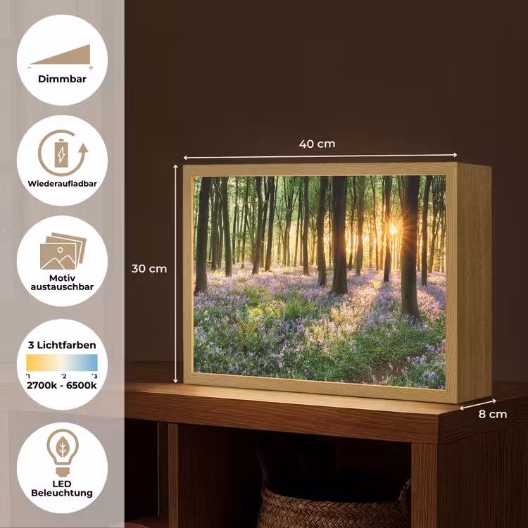 Bos - Bloemen - Lavendel - Zon - Paars - Natuur Light Box met batterij (Wandlamp) middel -USP_websiteoverzichtDE