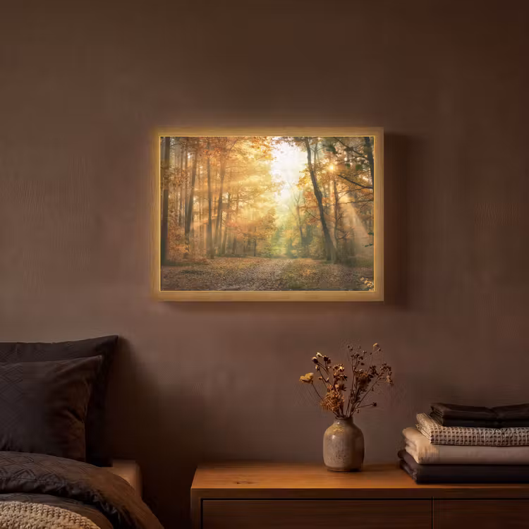 Bos - Herfst - Zon - Landschap - Natuur - Bomen - Bladeren Light Box met batterij (Wandlamp) middel -sfeer4