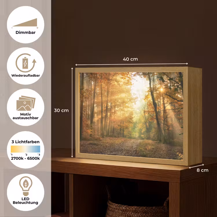 Bos - Herfst - Zon - Landschap - Natuur - Bomen - Bladeren Light Box met batterij (Wandlamp) middel -USP_websiteoverzichtDE