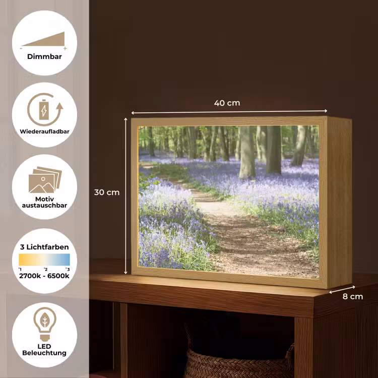 Bos - Pad - Bloemen - Paars - Groen - Natuur Light Box met batterij (Wandlamp) middel -USP_websiteoverzichtDE