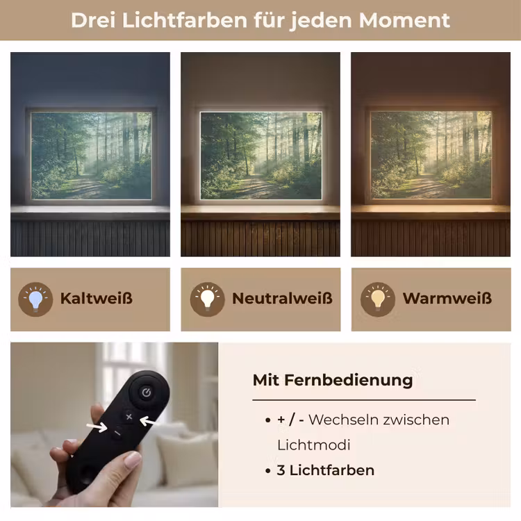 Bos - Pad - Zon - Bomen - Groen - Natuur Light Box met batterij (Wandlamp) middel -USP_lichtkleurDE