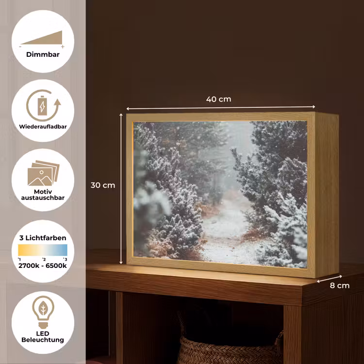 Bos - Winter - Bomen - Natuur - Pad - Sneeuw Light Box met batterij (Wandlamp) middel -USP_websiteoverzichtDE