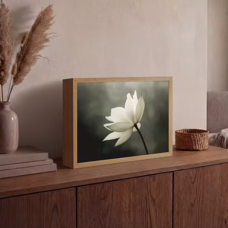 Wit - Lotus - Donker - Bloem Light Box met batterij (Wandlamp) middel -sfeer2