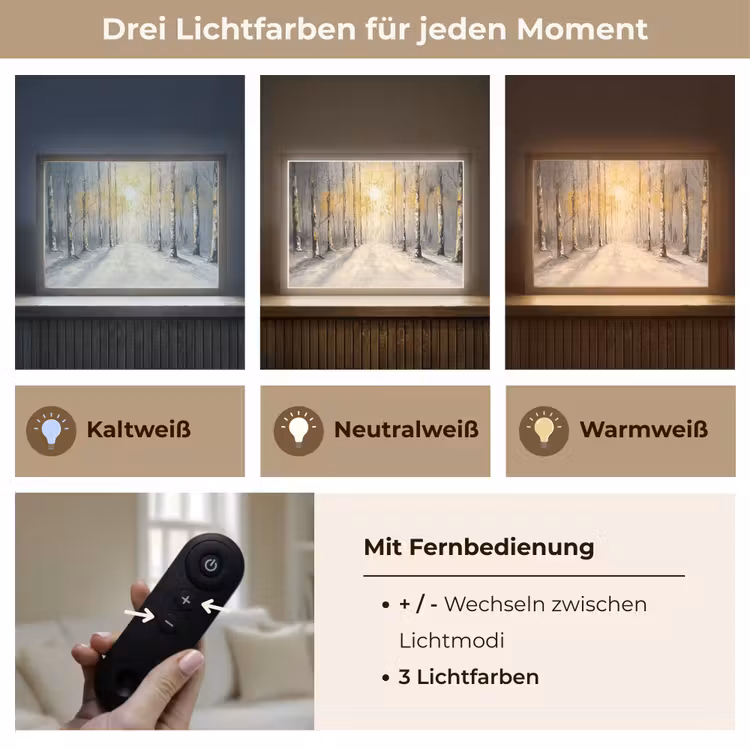 Winter - Abstract - Sneeuw - Natuur - Zon Light Box met batterij (Wandlamp) middel -USP_lichtkleurDE