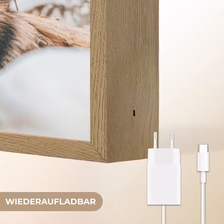 Wolf - Sneeuw - Winter - Dieren - Natuur - Sneeuw Light Box met batterij (Wandlamp) middel -USP_websiteoplaadbaarDE
