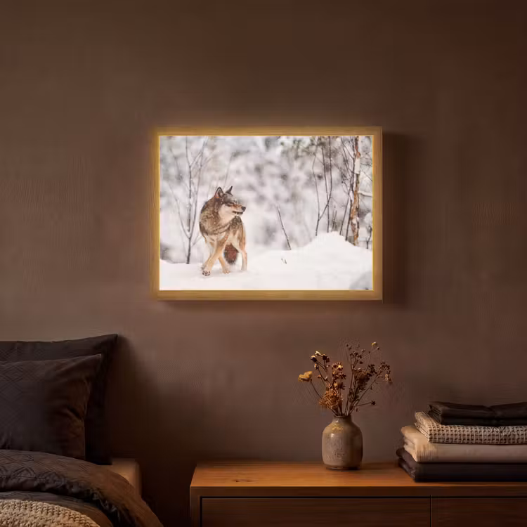 Wolf - Winter - Sneeuw - Natuur - Dieren Light Box met batterij (Wandlamp) middel -sfeer4
