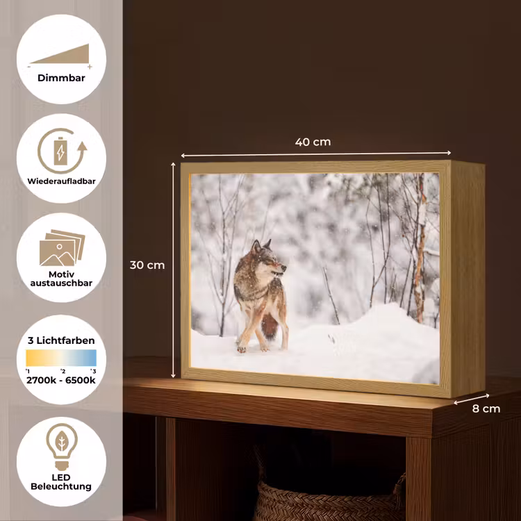 Wolf - Winter - Sneeuw - Natuur - Dieren Light Box met batterij (Wandlamp) middel -USP_websiteoverzichtDE