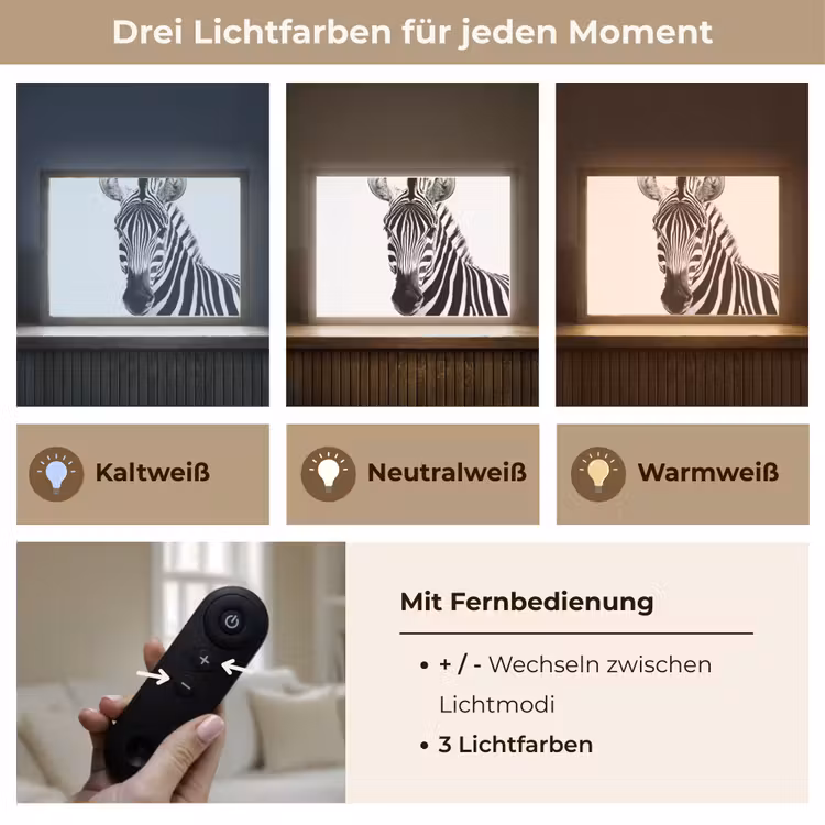 Zebra - Close-up - Zwart - Strepen Light Box met batterij (Wandlamp) middel -USP_lichtkleurDE