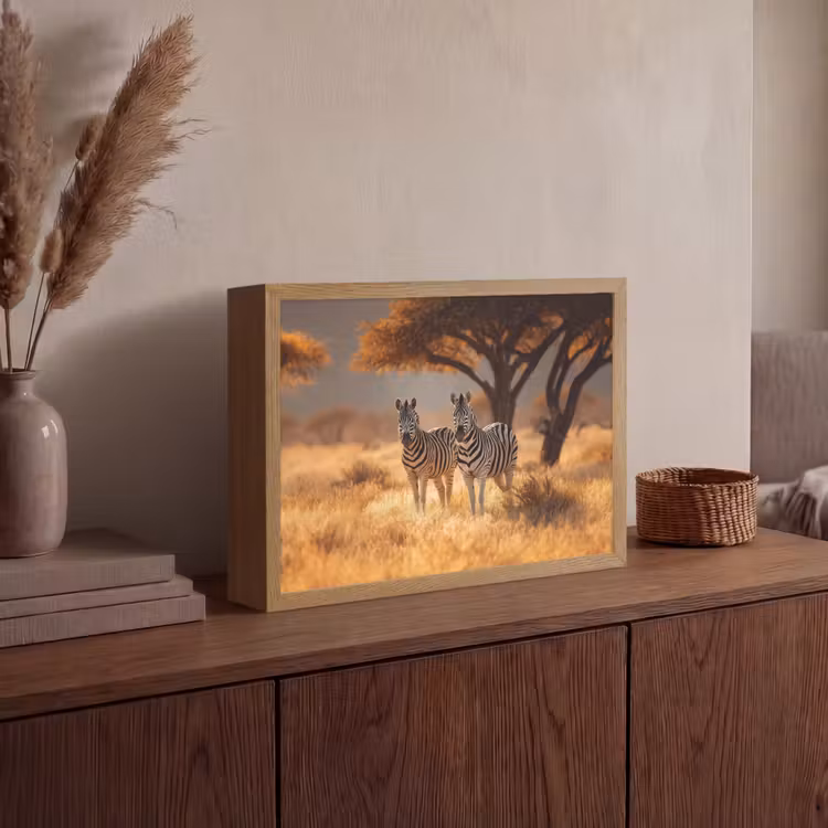Zebra's - Savannelandschap - Gras Light Box met batterij (Wandlamp) middel -sfeer2