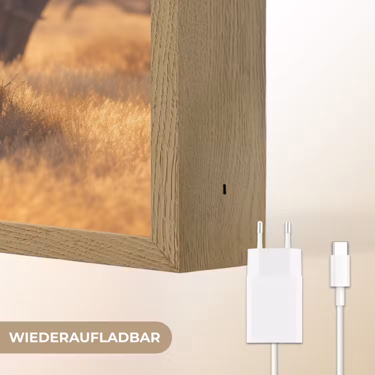 Zebra's - Savannelandschap - Gras Light Box met batterij (Wandlamp) middel -USP_websiteoplaadbaarDE