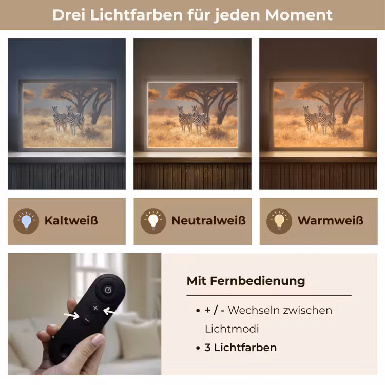 Zebra's - Savannelandschap - Gras Light Box met batterij (Wandlamp) middel -USP_lichtkleurDE