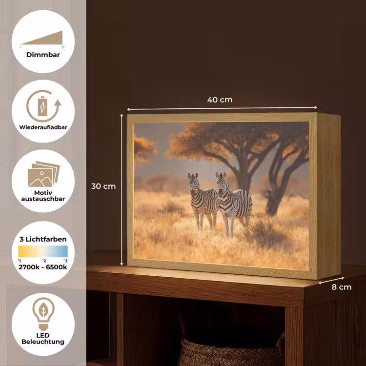 Zebra's - Savannelandschap - Gras Light Box met batterij (Wandlamp) middel -USP_websiteoverzichtDE